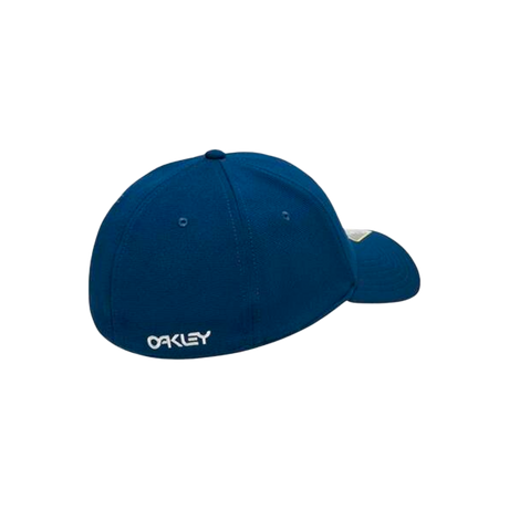 6 PANEL STRETCH METALLIC HAT