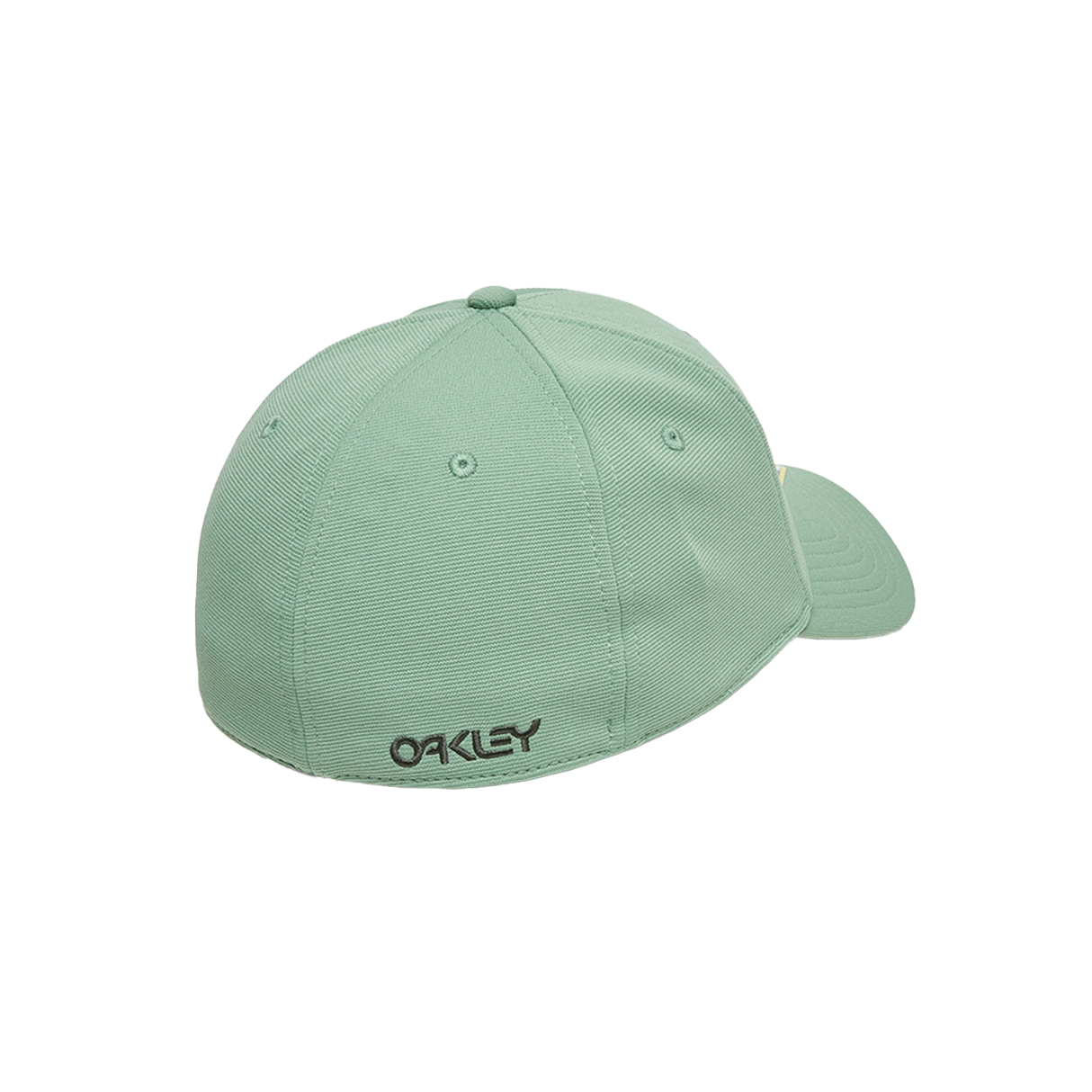 6 PANEL STRETCH METALLIC HAT