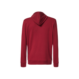 LOCKED IN B1B PO HOODIE