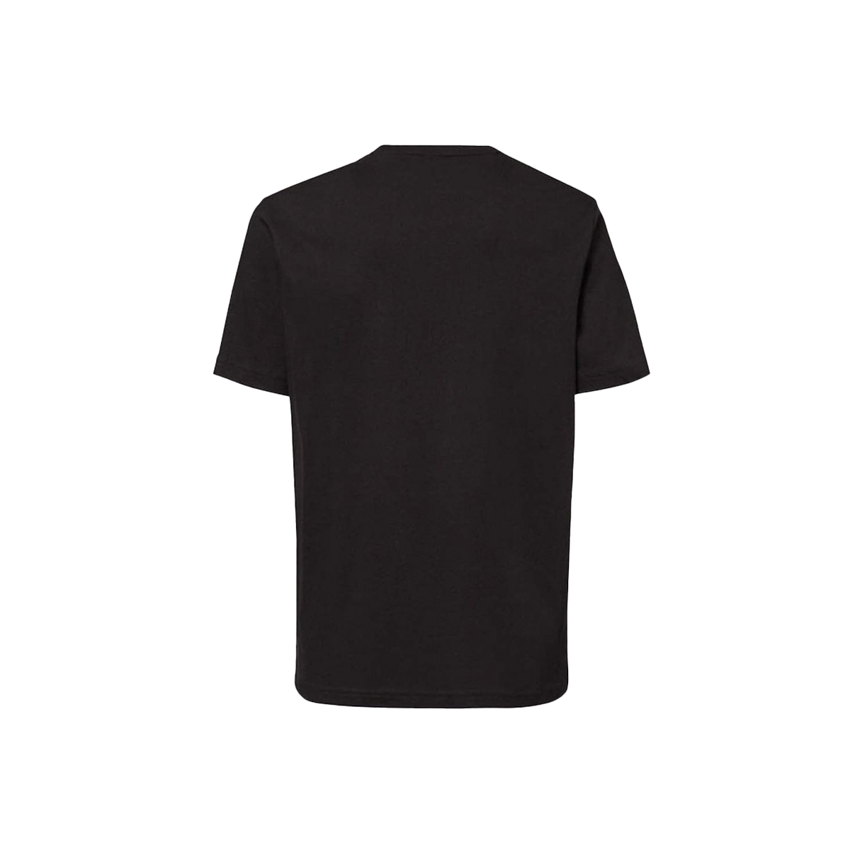 THE WALLS B1B RC TEE