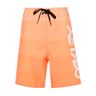 RETRO MARK 19" BOARDSHORT