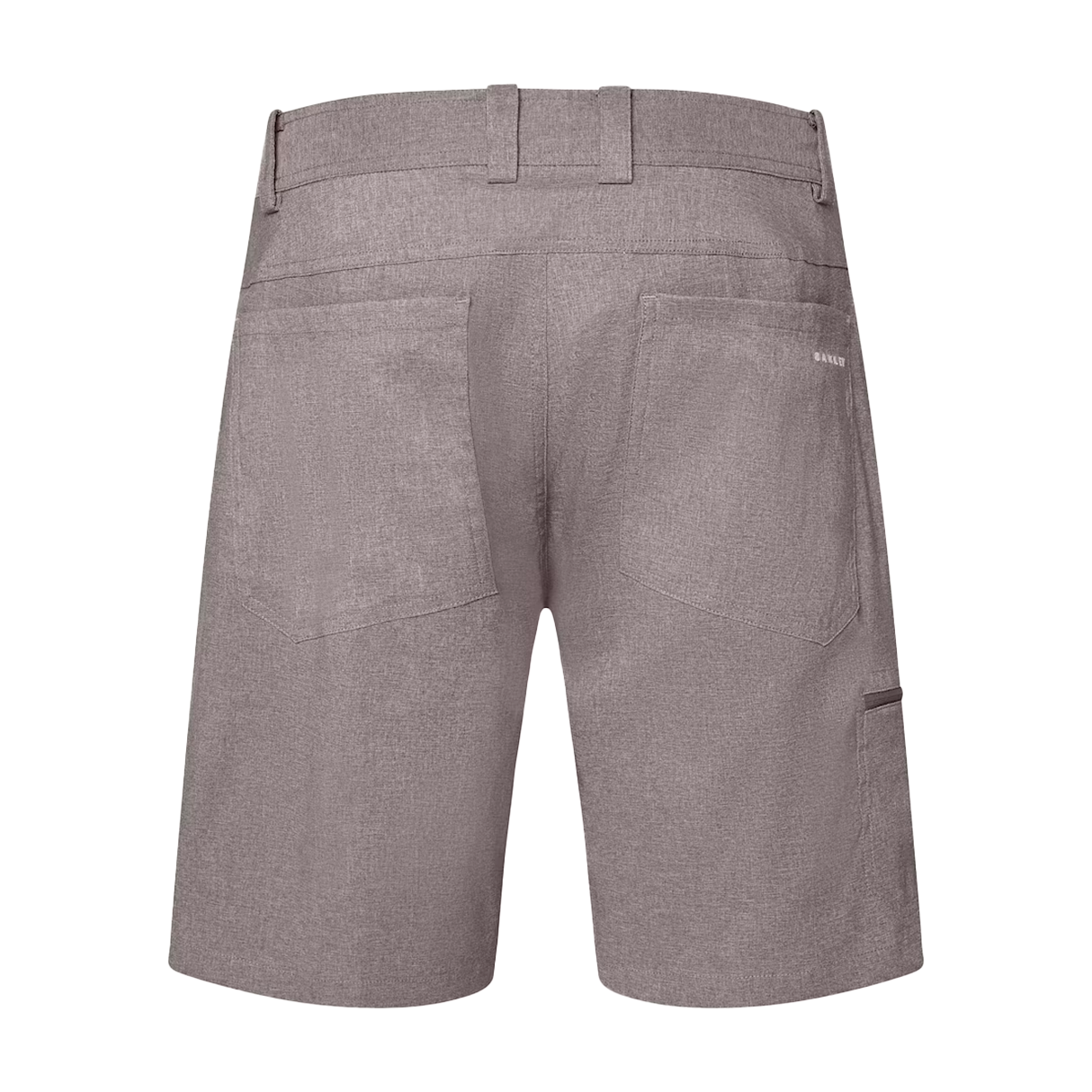 GOLF HYBRID SHORT