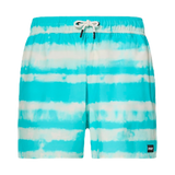 BLUR STRIPES RC 16" BEACHSHORT