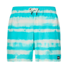 BLUR STRIPES RC 16" BEACHSHORT