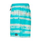 BLUR STRIPES RC 16" BEACHSHORT