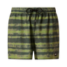 BLUR STRIPES RC 16" BEACHSHORT