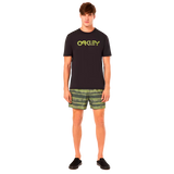 BLUR STRIPES RC 16" BEACHSHORT