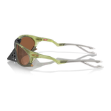 PLANTARIS